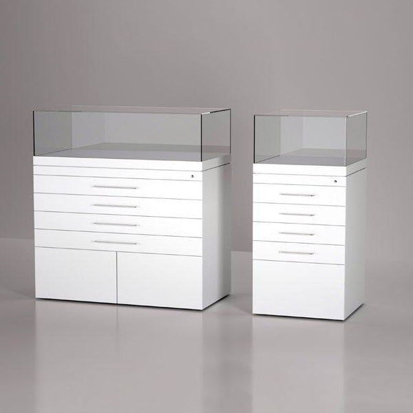 EXCEL Line A Archive Case with Passive Climate Control (30cm Glass Hood)